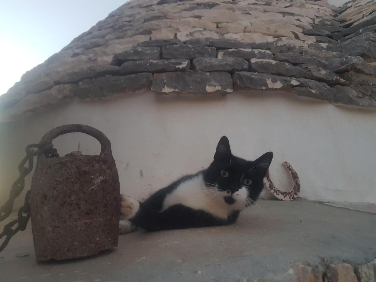 Il Fiore Della Vita Trulli Country House Conversano Buitenkant foto