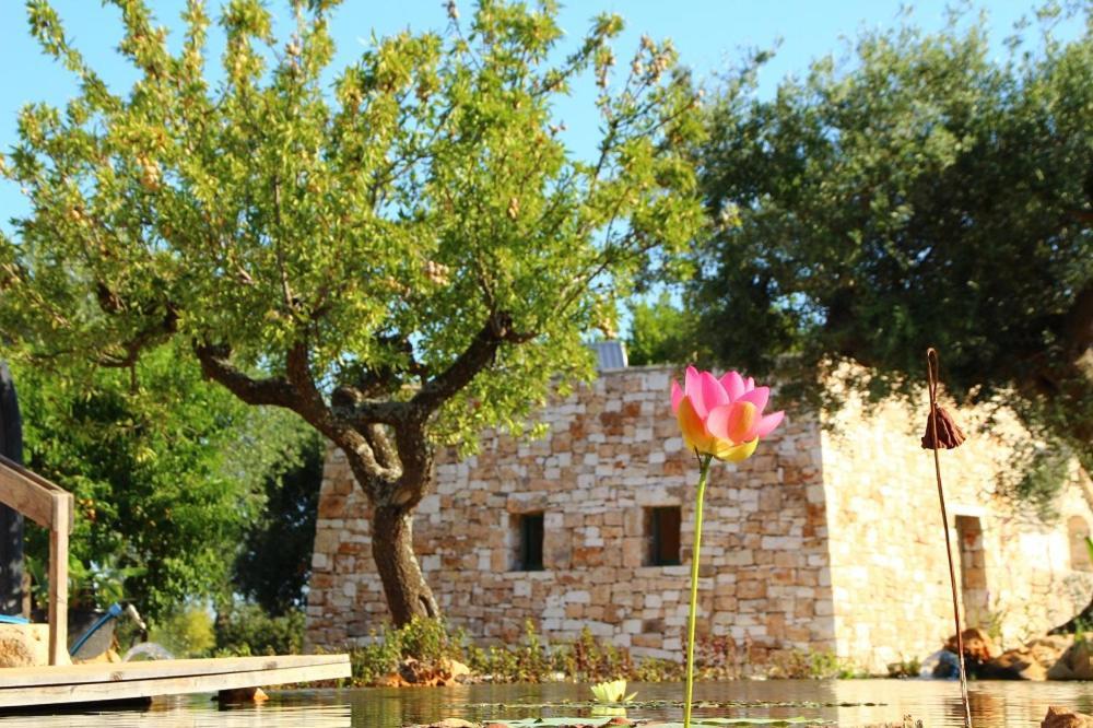 Il Fiore Della Vita Trulli Country House Conversano Buitenkant foto